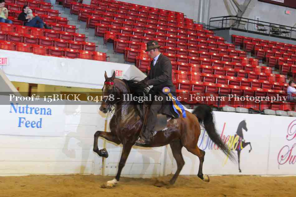 Proof Number 15BUCK_04178