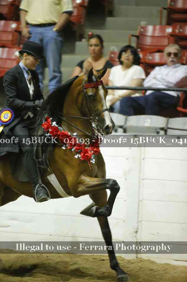 Proof Number 15BUCK_04193