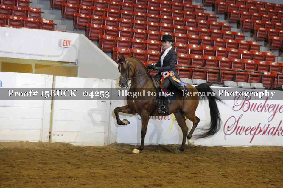 Proof Number 15BUCK_04253