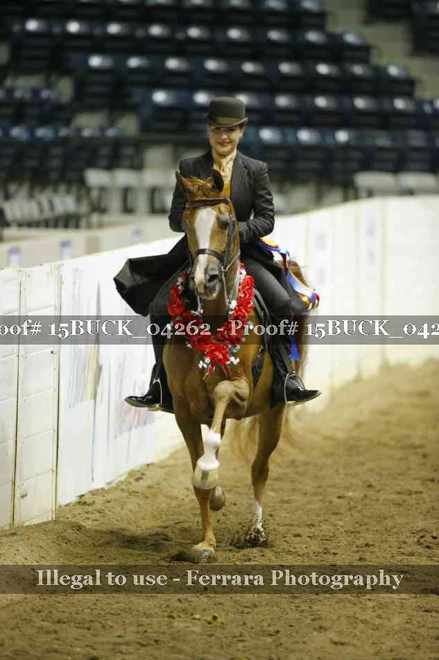Proof Number 15BUCK_04262