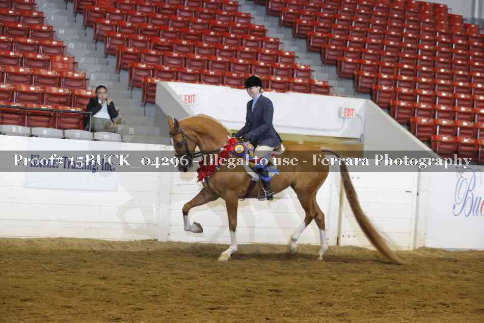 Proof Number 15BUCK_04296