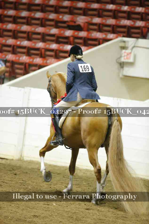 Proof Number 15BUCK_04297