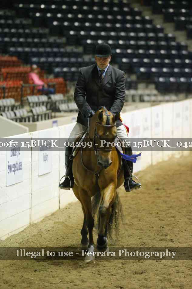 Proof Number 15BUCK_04299