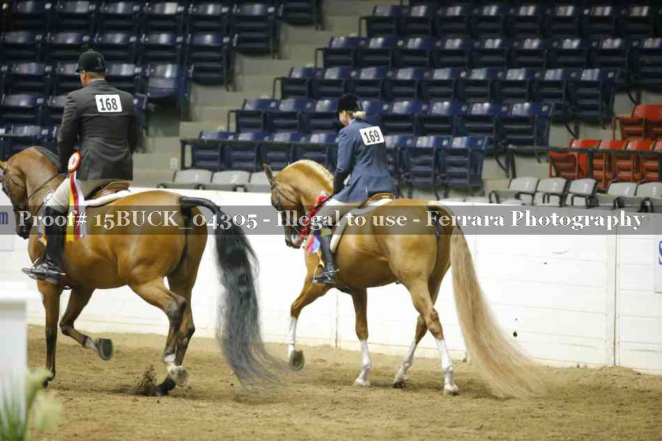 Proof Number 15BUCK_04305