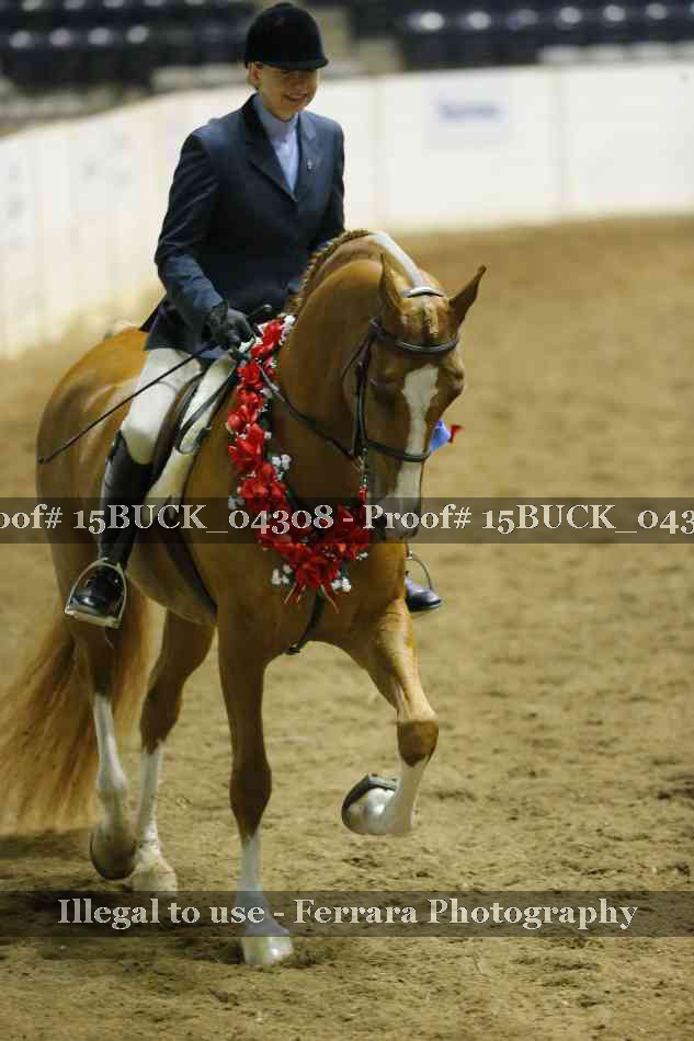 Proof Number 15BUCK_04308