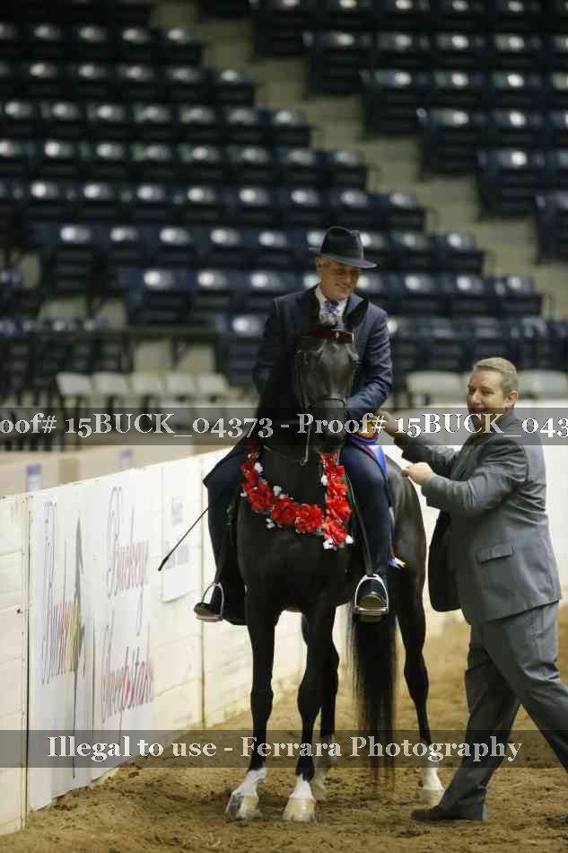Proof Number 15BUCK_04373