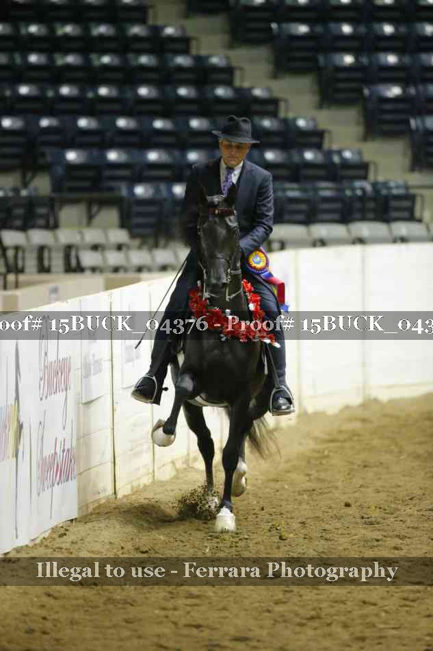 Proof Number 15BUCK_04376