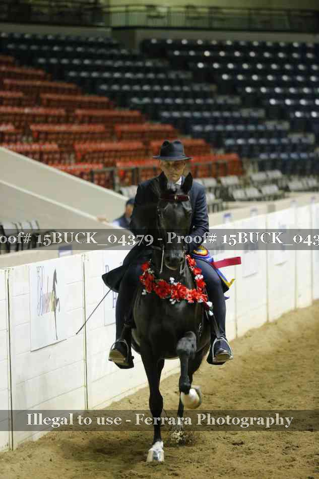 Proof Number 15BUCK_04379