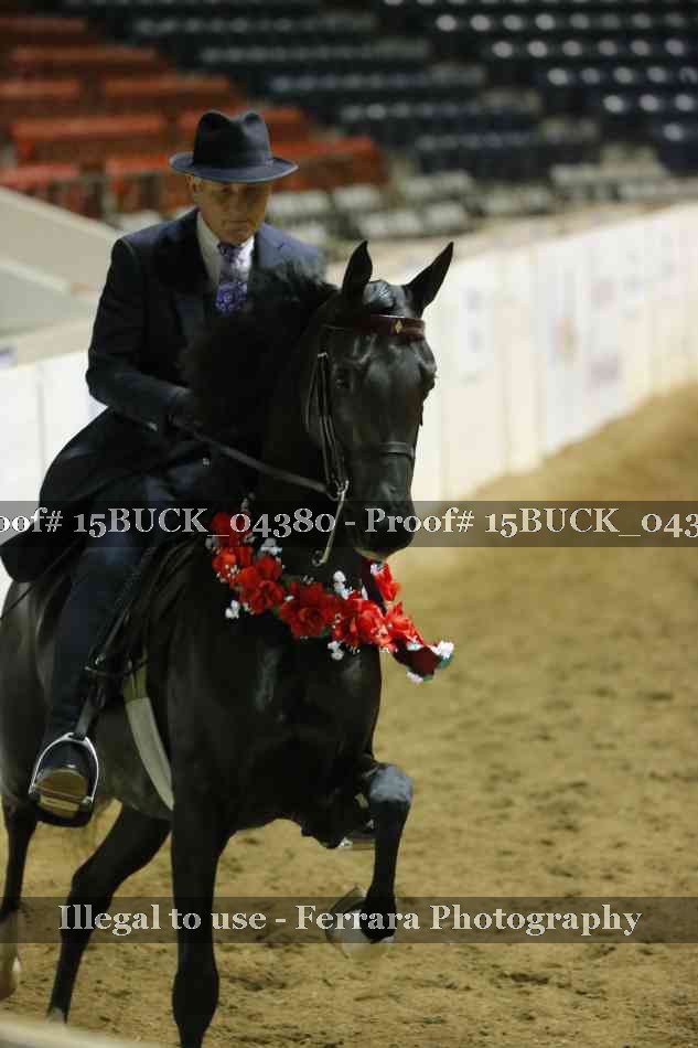 Proof Number 15BUCK_04380