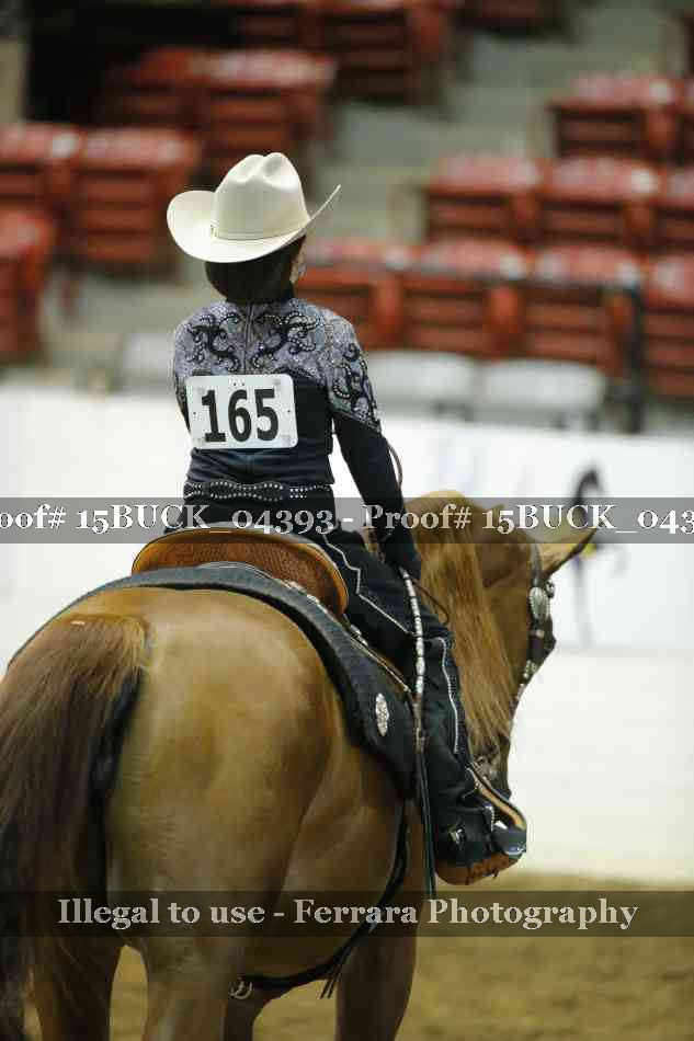Proof Number 15BUCK_04393