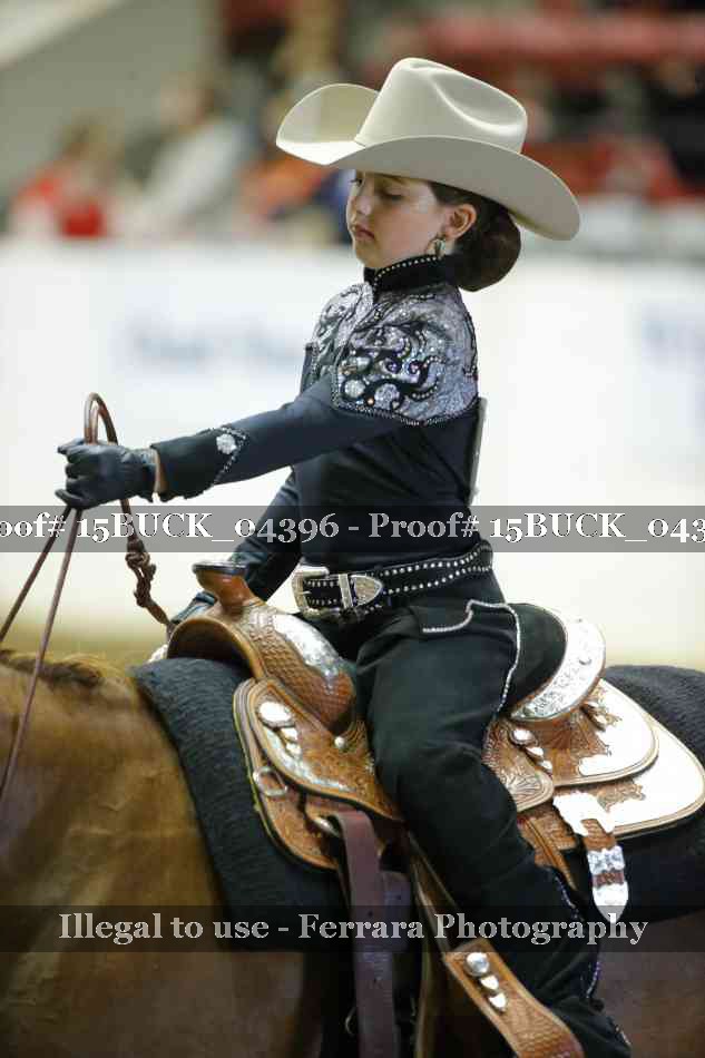 Proof Number 15BUCK_04396
