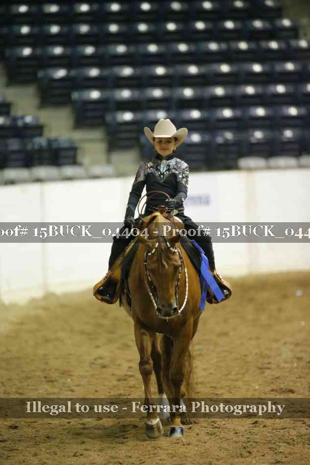 Proof Number 15BUCK_04404