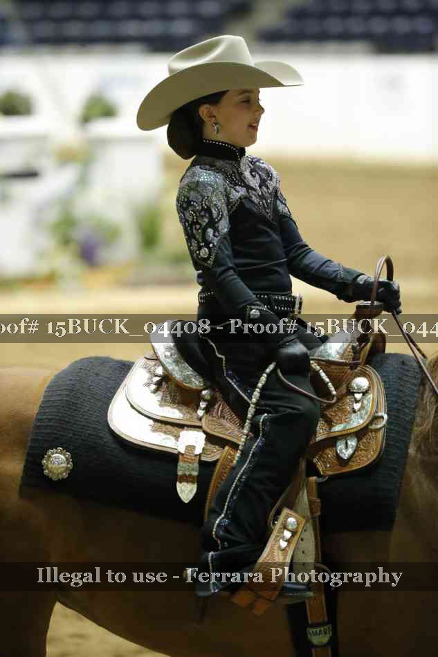 Proof Number 15BUCK_04408