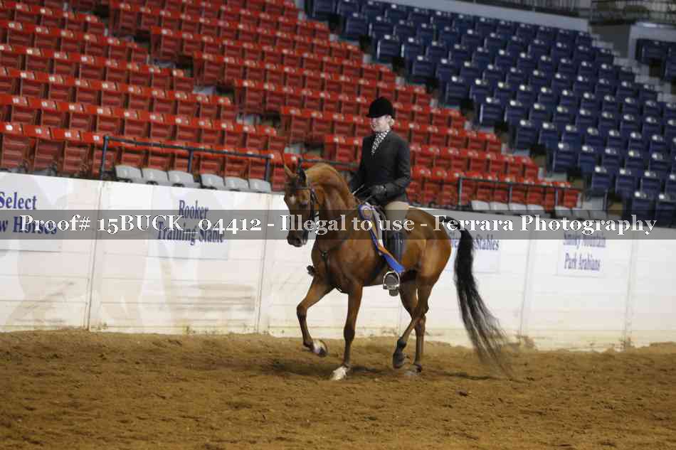 Proof Number 15BUCK_04412