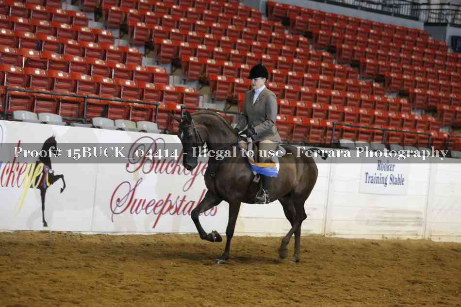 Proof Number 15BUCK_04414