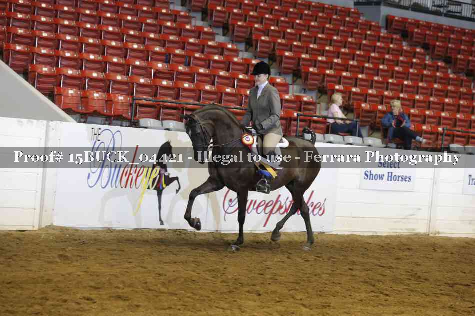 Proof Number 15BUCK_04421