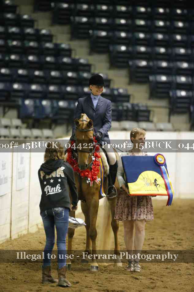 Proof Number 15BUCK_04422