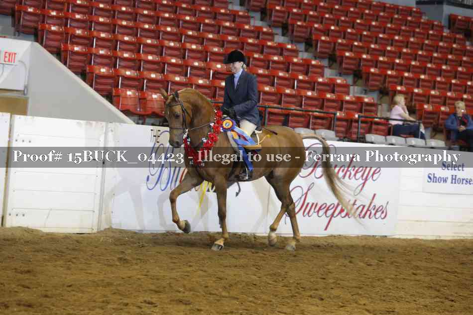 Proof Number 15BUCK_04423