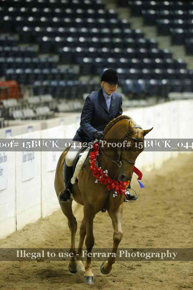 Proof Number 15BUCK_04425