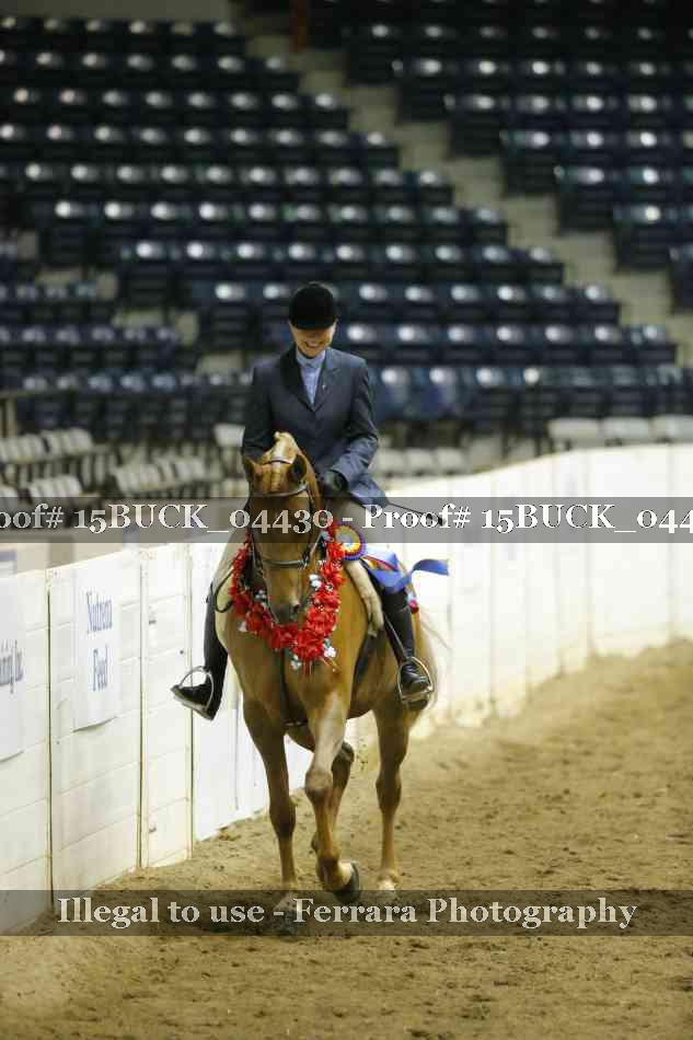 Proof Number 15BUCK_04430