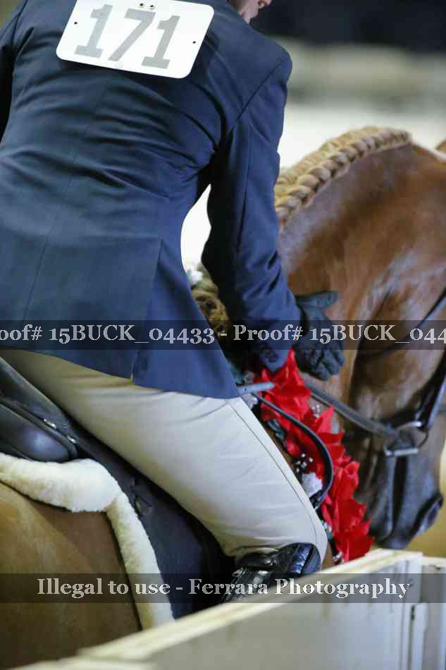 Proof Number 15BUCK_04433