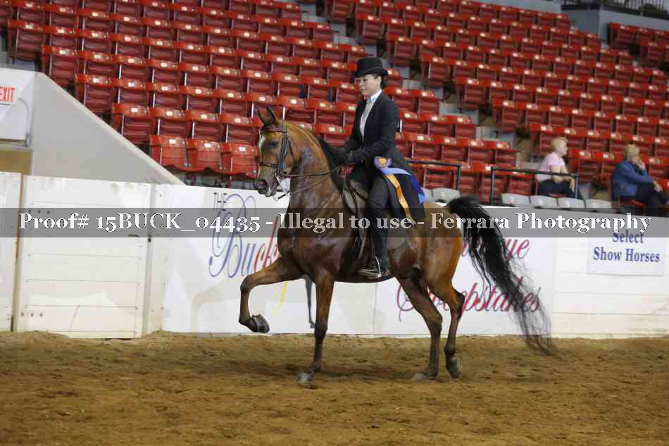 Proof Number 15BUCK_04435