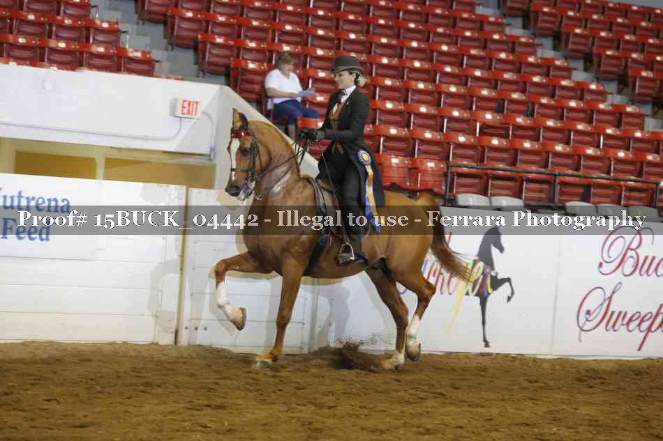 Proof Number 15BUCK_04442
