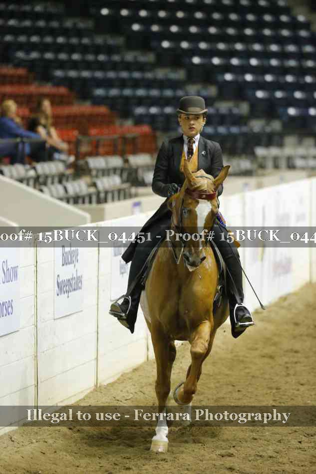 Proof Number 15BUCK_04451