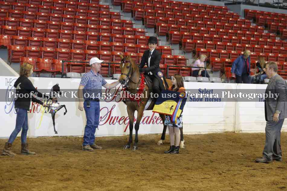 Proof Number 15BUCK_04453