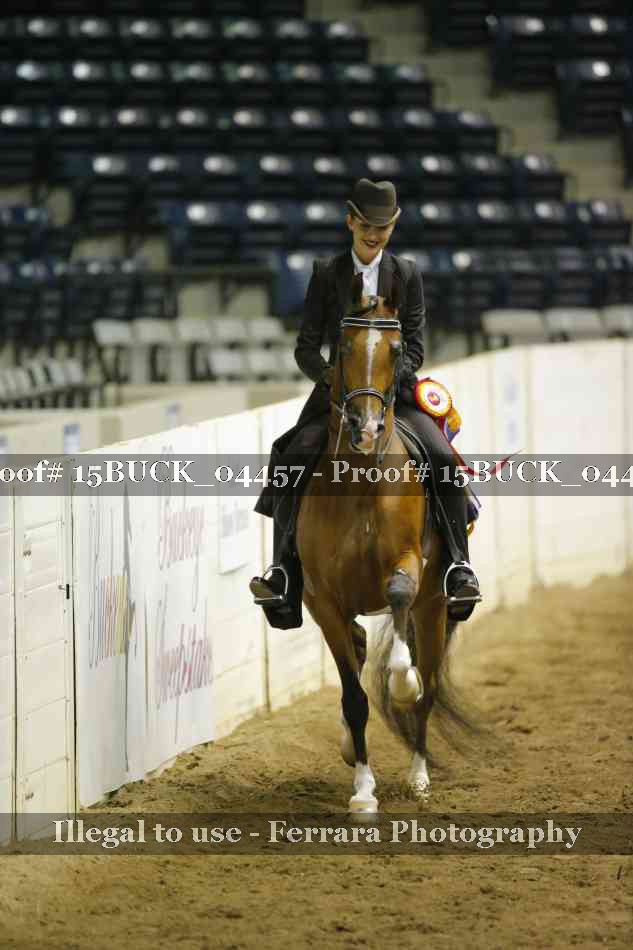 Proof Number 15BUCK_04457