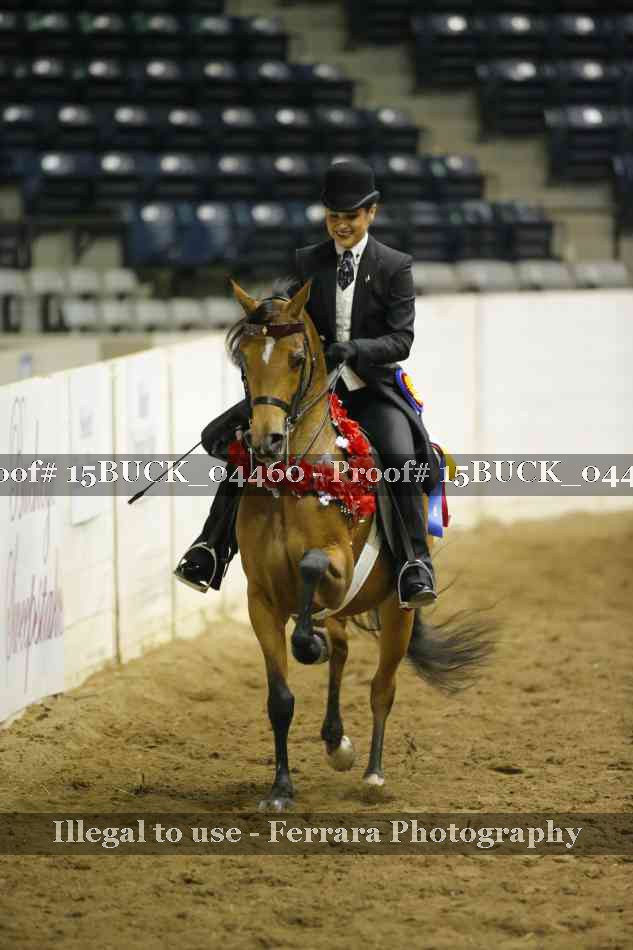 Proof Number 15BUCK_04460