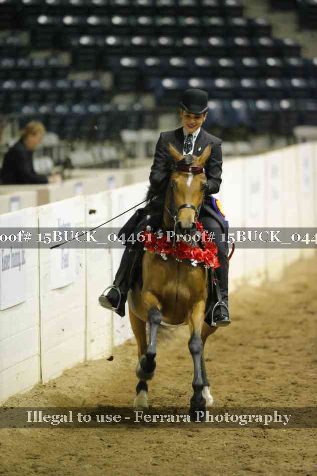 Proof Number 15BUCK_04461