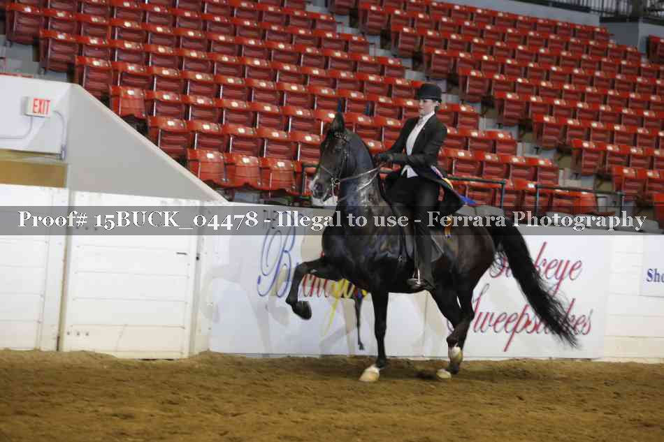 Proof Number 15BUCK_04478