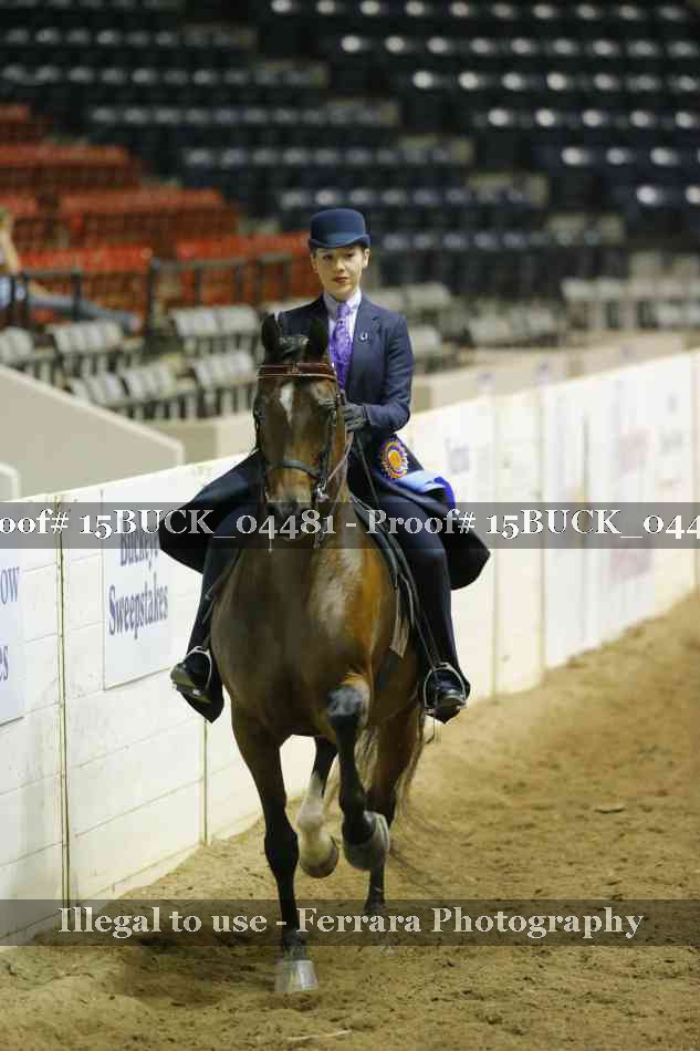 Proof Number 15BUCK_04481