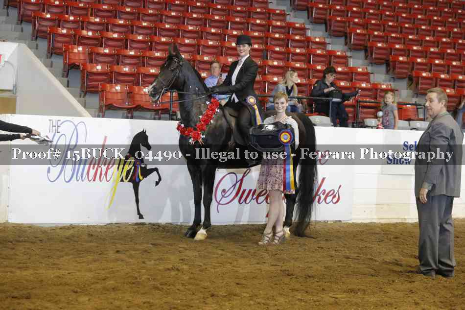 Proof Number 15BUCK_04490