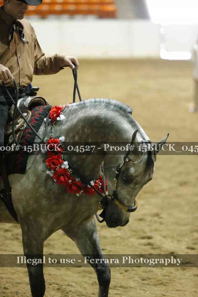 Proof Number 15BUCK_04527