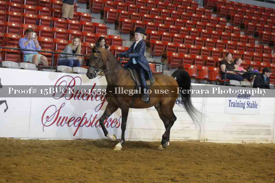 Proof Number 15BUCK_04553