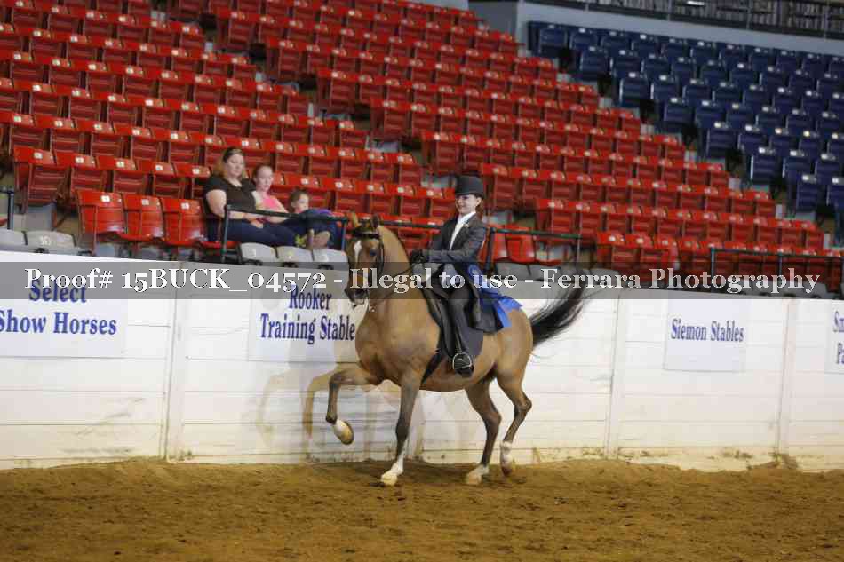 Proof Number 15BUCK_04572