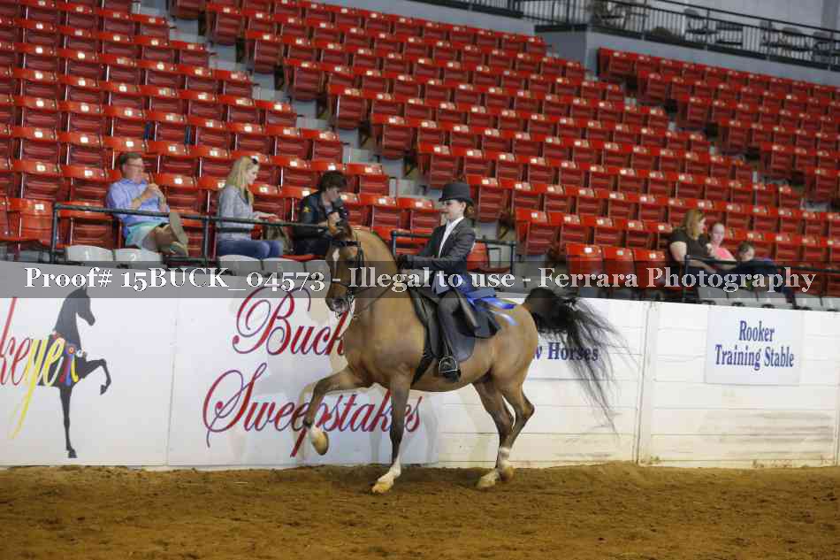 Proof Number 15BUCK_04573
