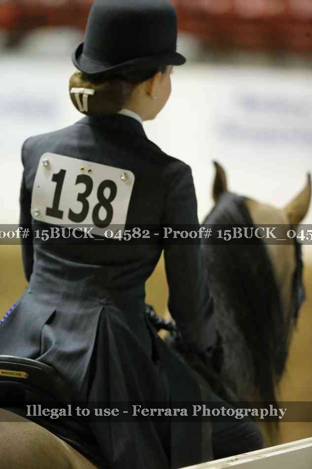 Proof Number 15BUCK_04582