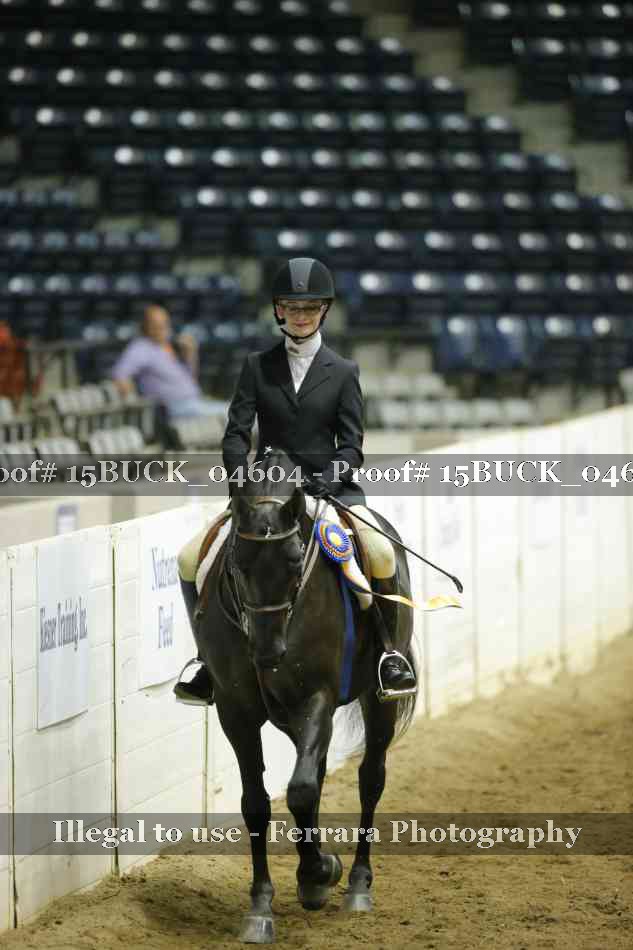 Proof Number 15BUCK_04604