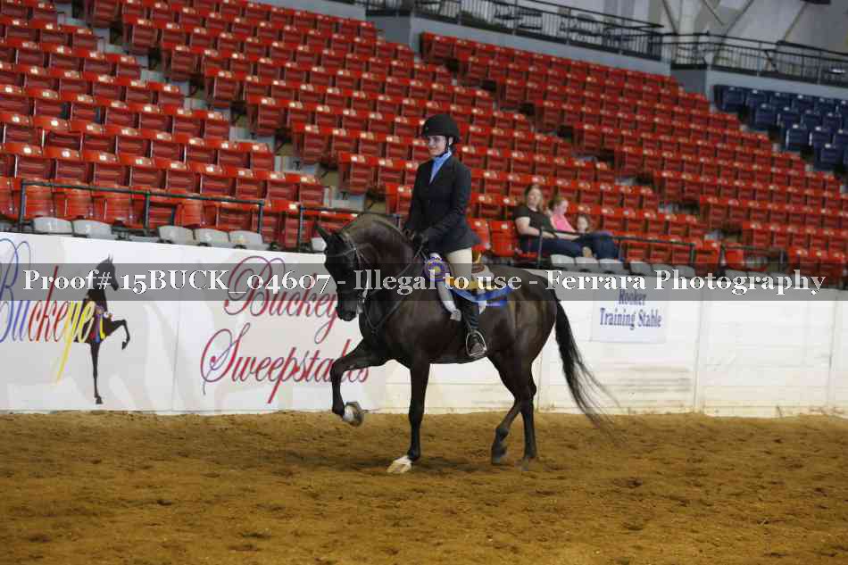 Proof Number 15BUCK_04607