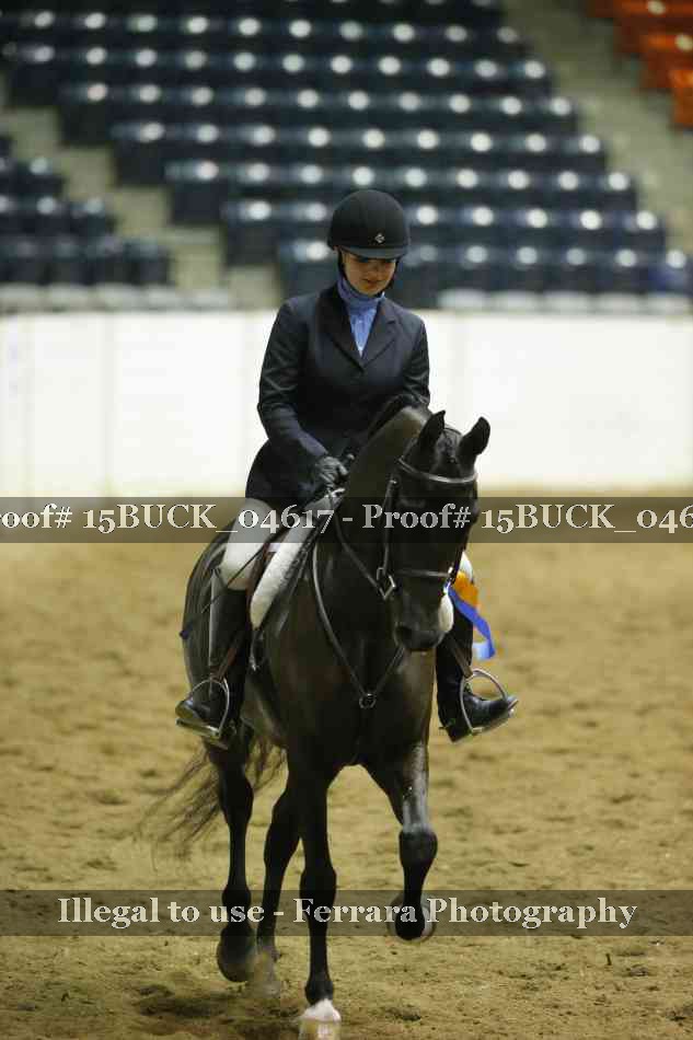 Proof Number 15BUCK_04617