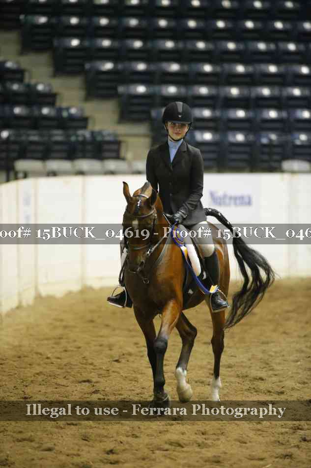 Proof Number 15BUCK_04619