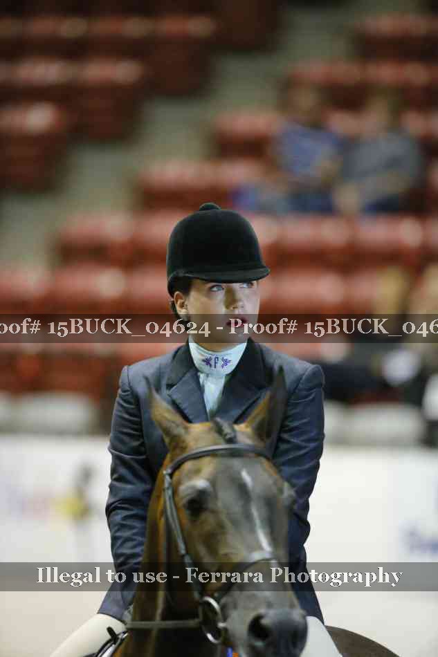 Proof Number 15BUCK_04624