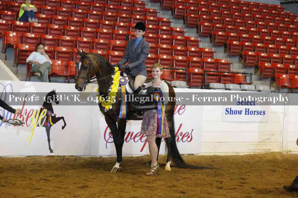 Proof Number 15BUCK_04625