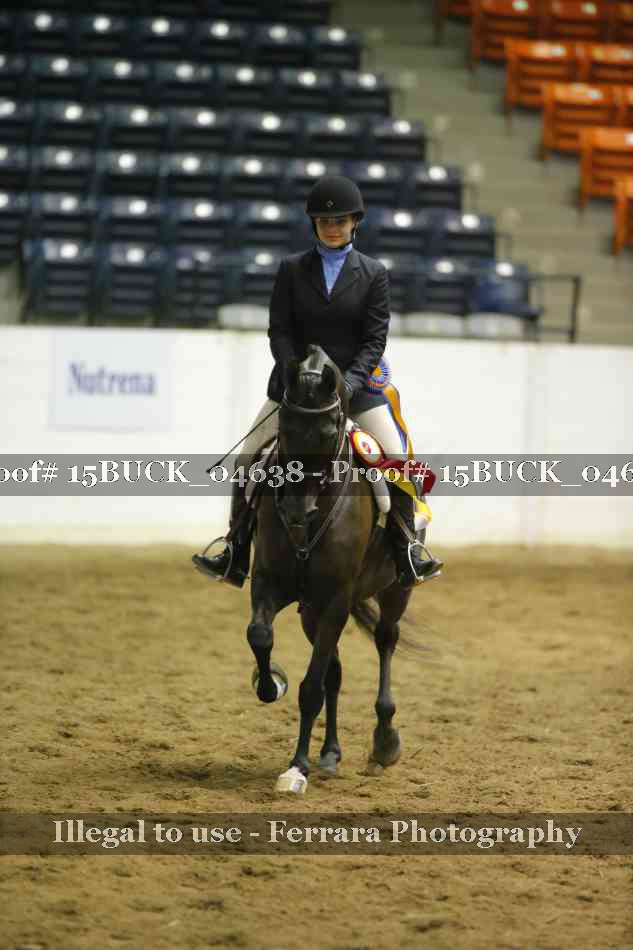 Proof Number 15BUCK_04638