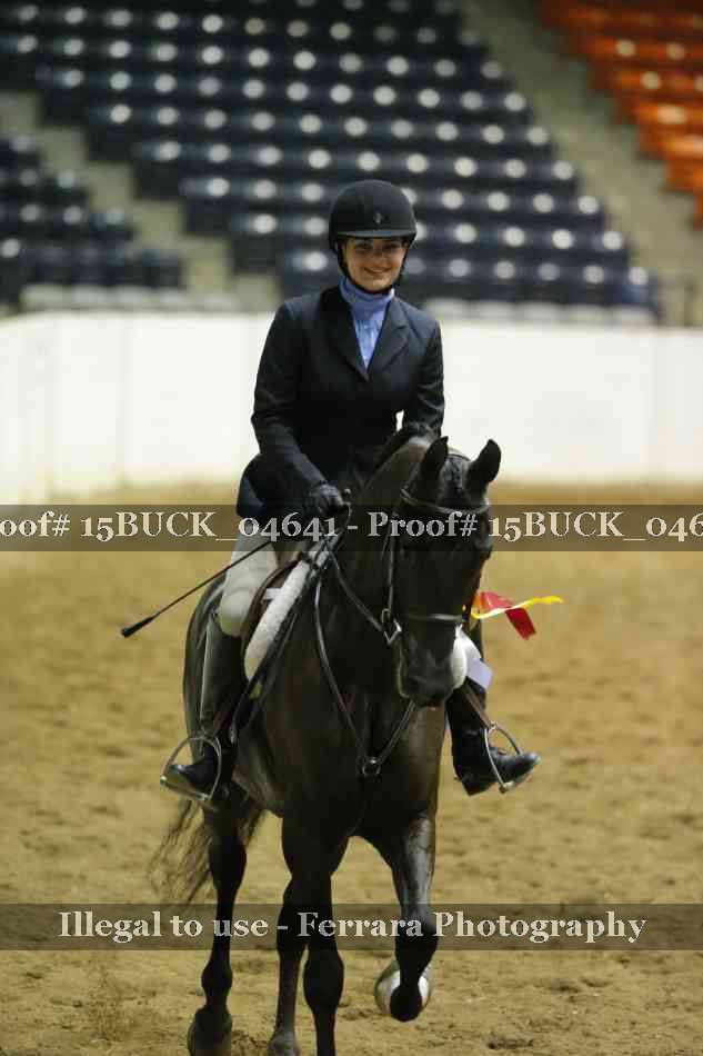 Proof Number 15BUCK_04641