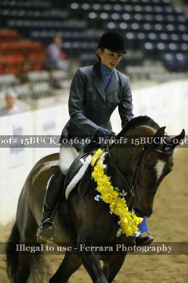 Proof Number 15BUCK_04646