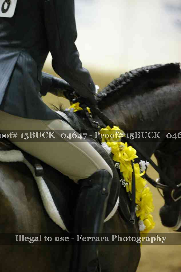 Proof Number 15BUCK_04647